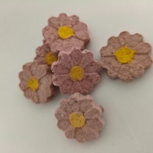 Seedbombs μαργαρίτες ροζ