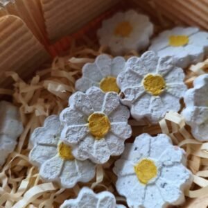 Seedbombs μαργαρίτες λευκό