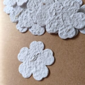 Seedpapers λουλούδια