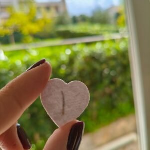 Seedpapers καρδούλες mini