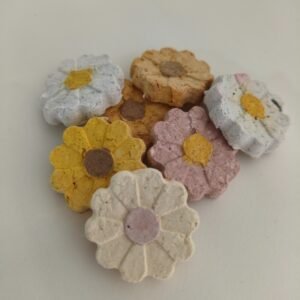 Seedbombs μαργαρίτες mix